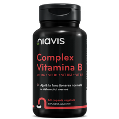 Vitamina B Complex - Vit B6 + Vit B1 + Vit B12 + Vit B7 60CPS